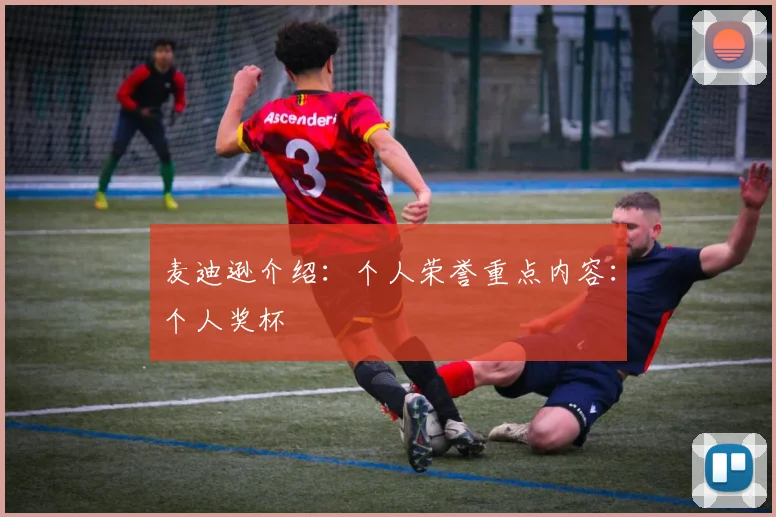麦迪逊介绍：个人荣誉重点内容：个人奖杯