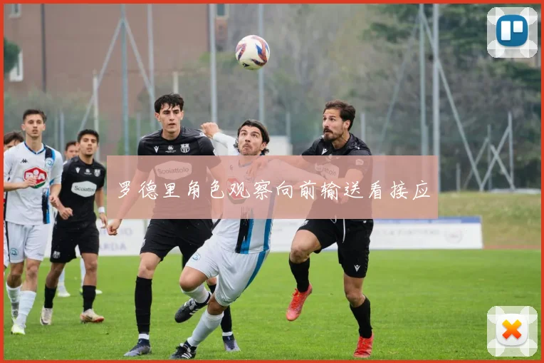 罗德里角色观察向前输送看接应