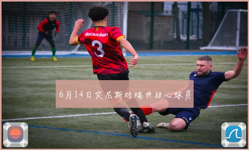 6月14日突尼斯对瑞典核心球员